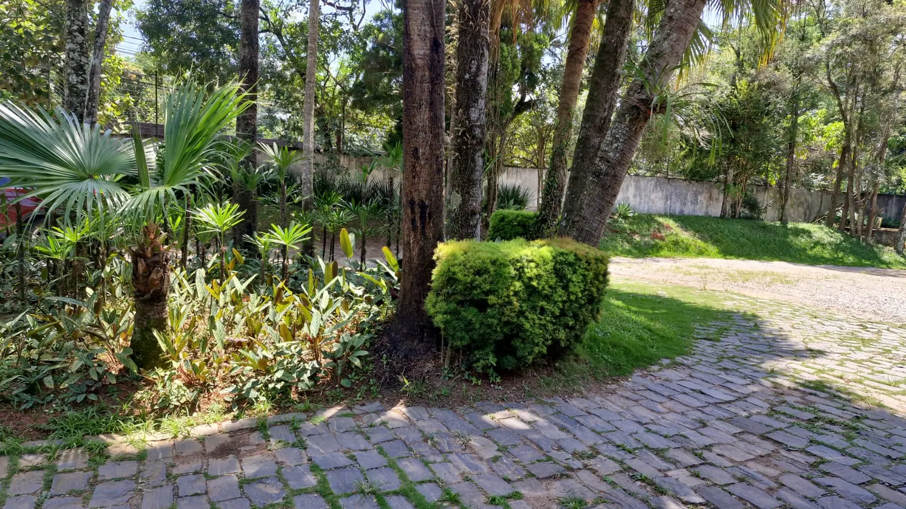 Área verde com palmeiras e caminho de pedra na unidade Granja Viana