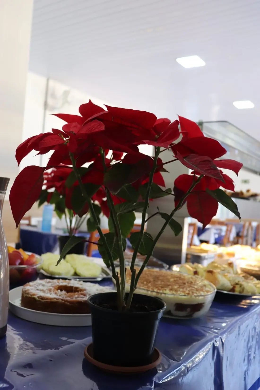 Balcão de servir com arranjo de flores na unidade São Roque